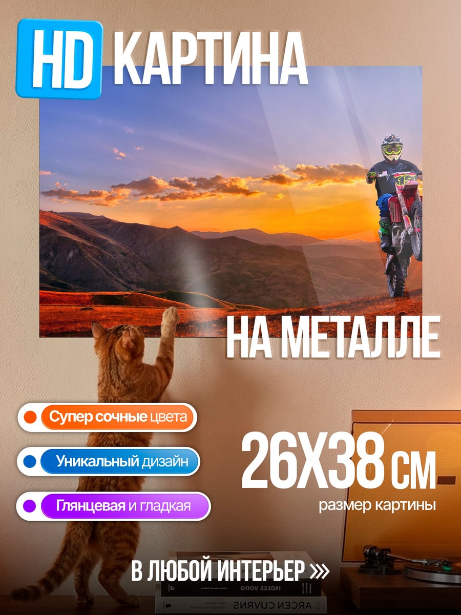 Картина на металле Велосипедист на закате