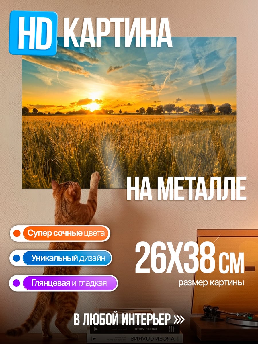Картина на металле Поле пшеницы на закате