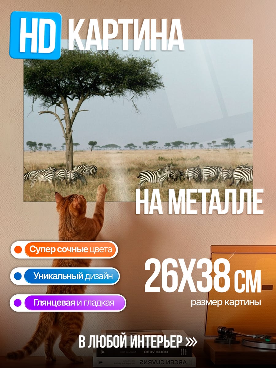 Картина на металле Зебры в саванне