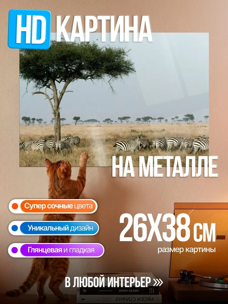 Картина на металле Зебры в саванне