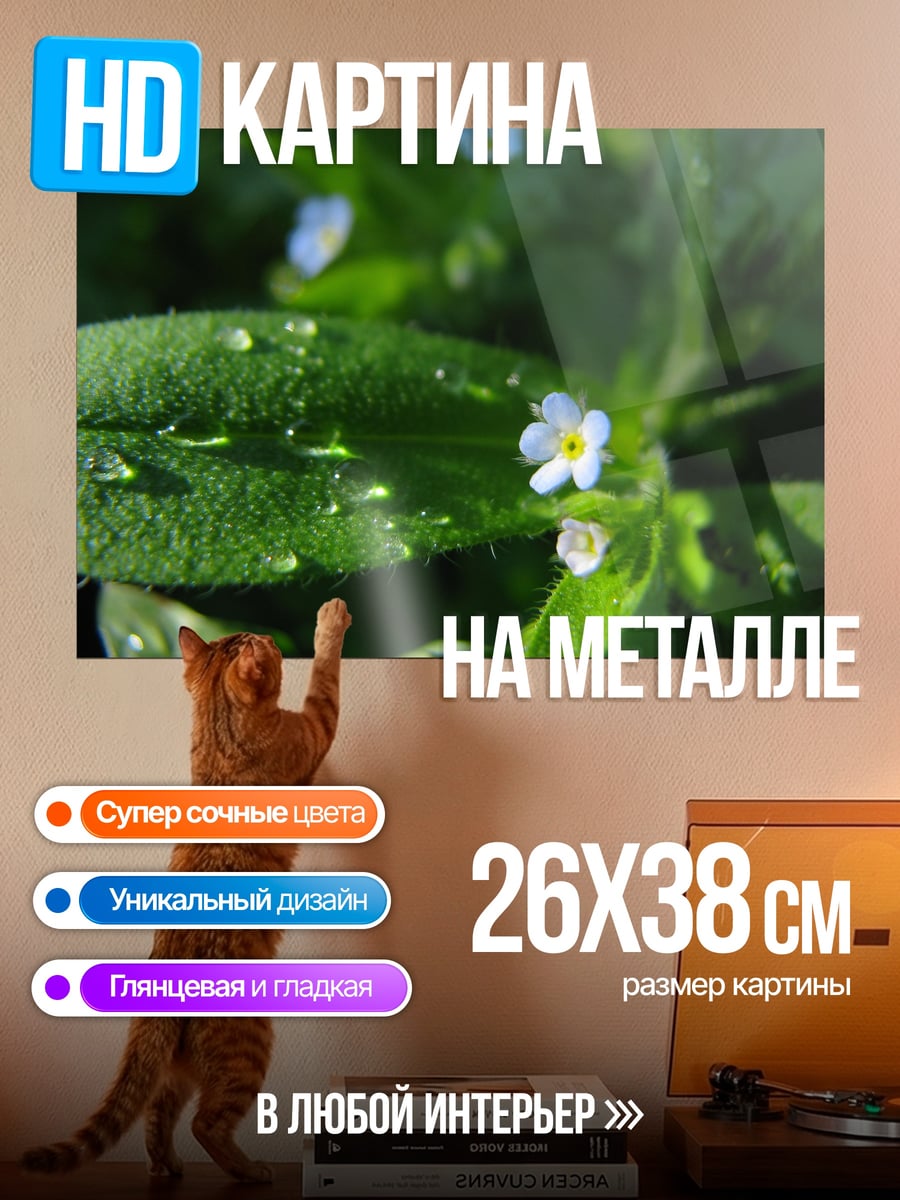 Картина на металле Незабудки в росе