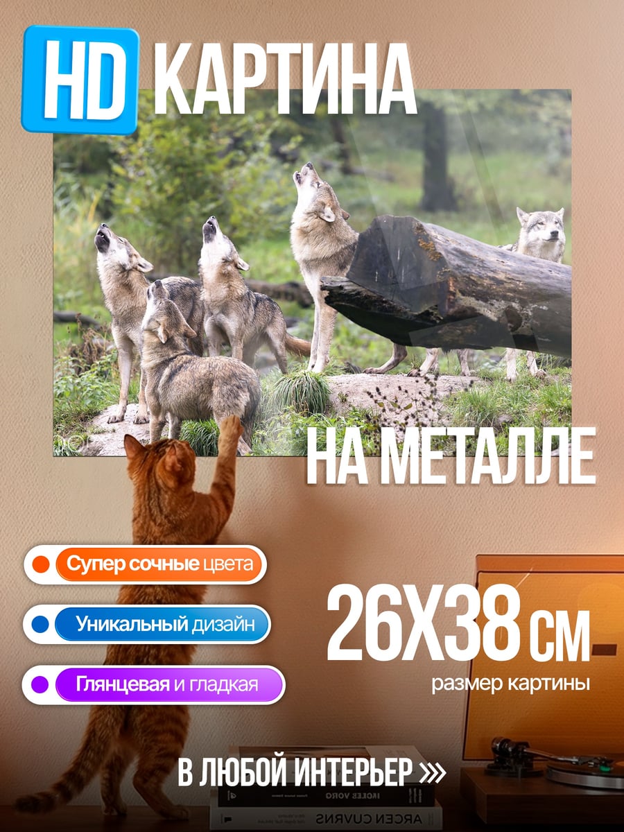 Картина на металле Воющая стая волков