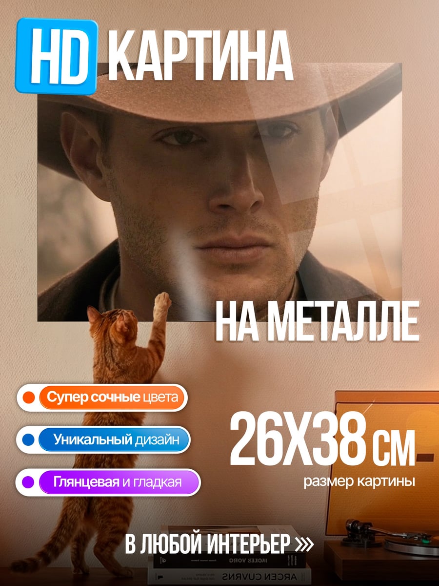 Картина на металле Ковбой смотрит