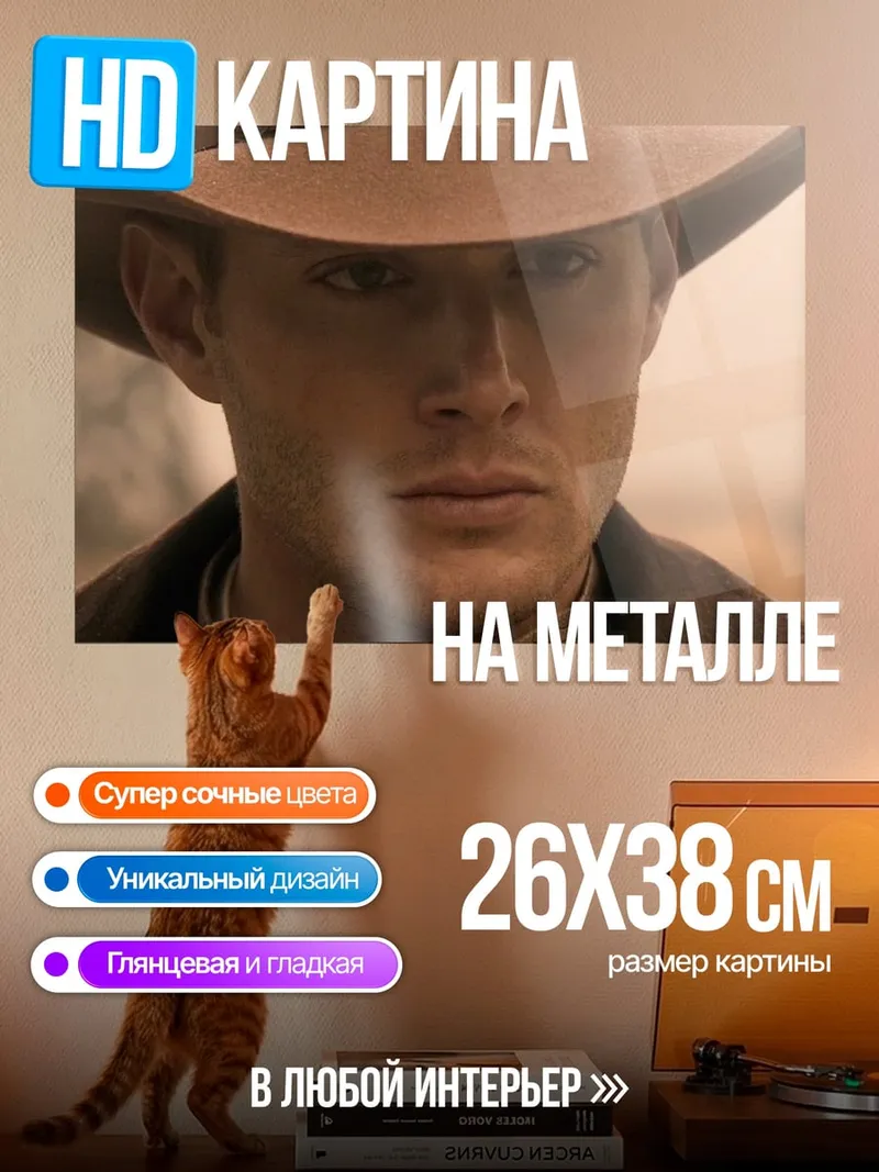 Картина на металле Ковбой смотрит