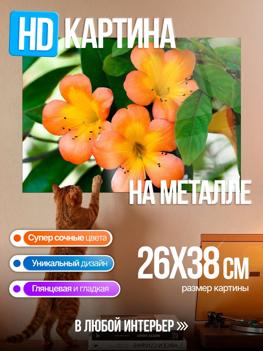 Картина на металле Оранжевые цветы