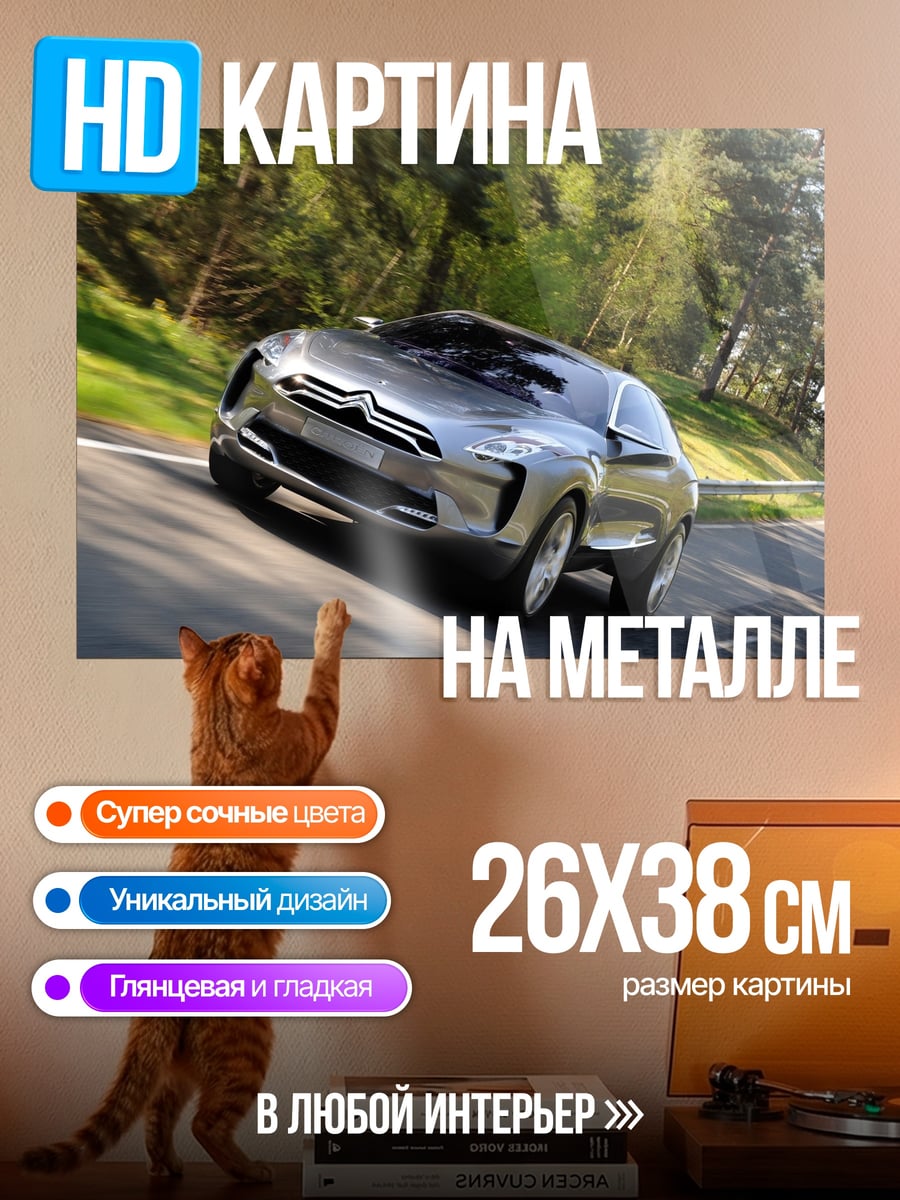 Картина на металле Концепткар Citroen