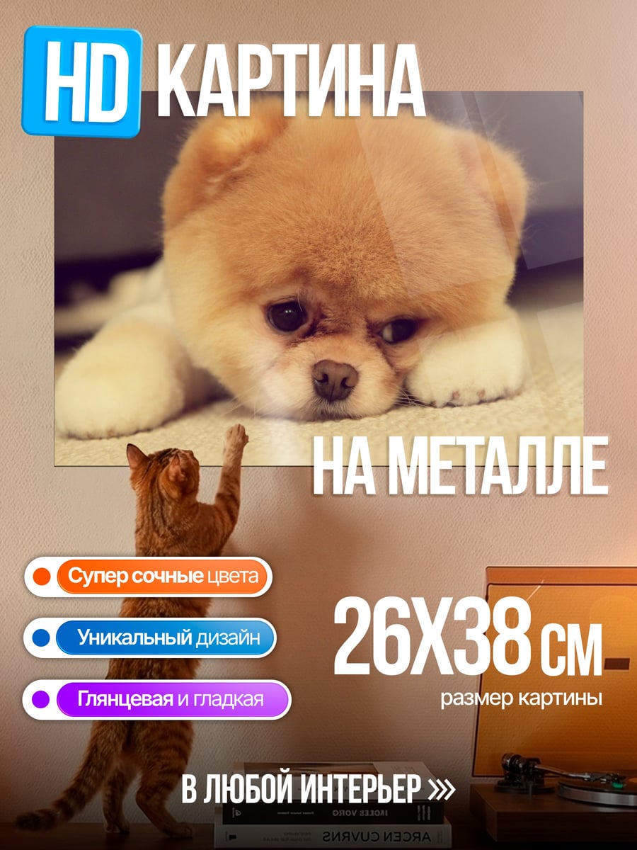 Картина на металле Грустный щенок