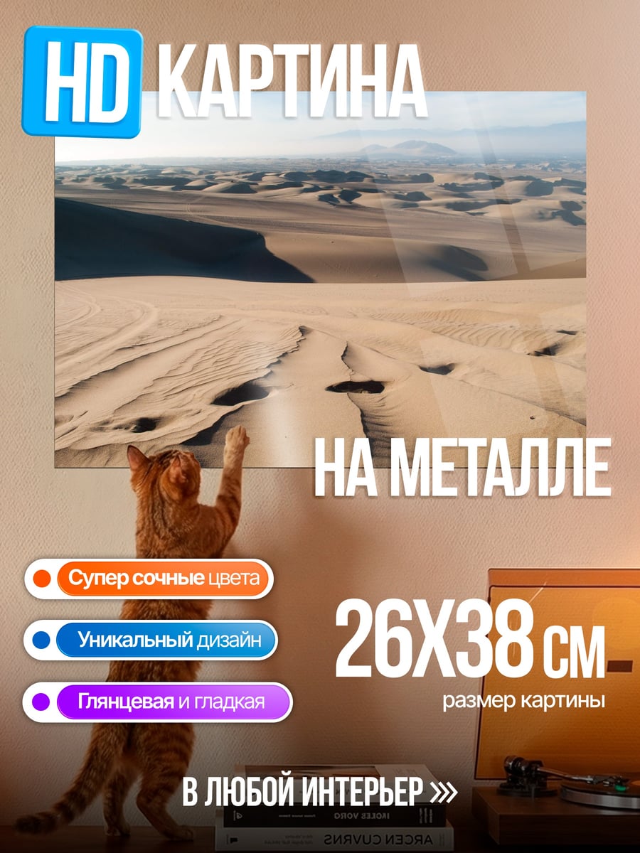 Картина на металле Пустынные дюны с следами