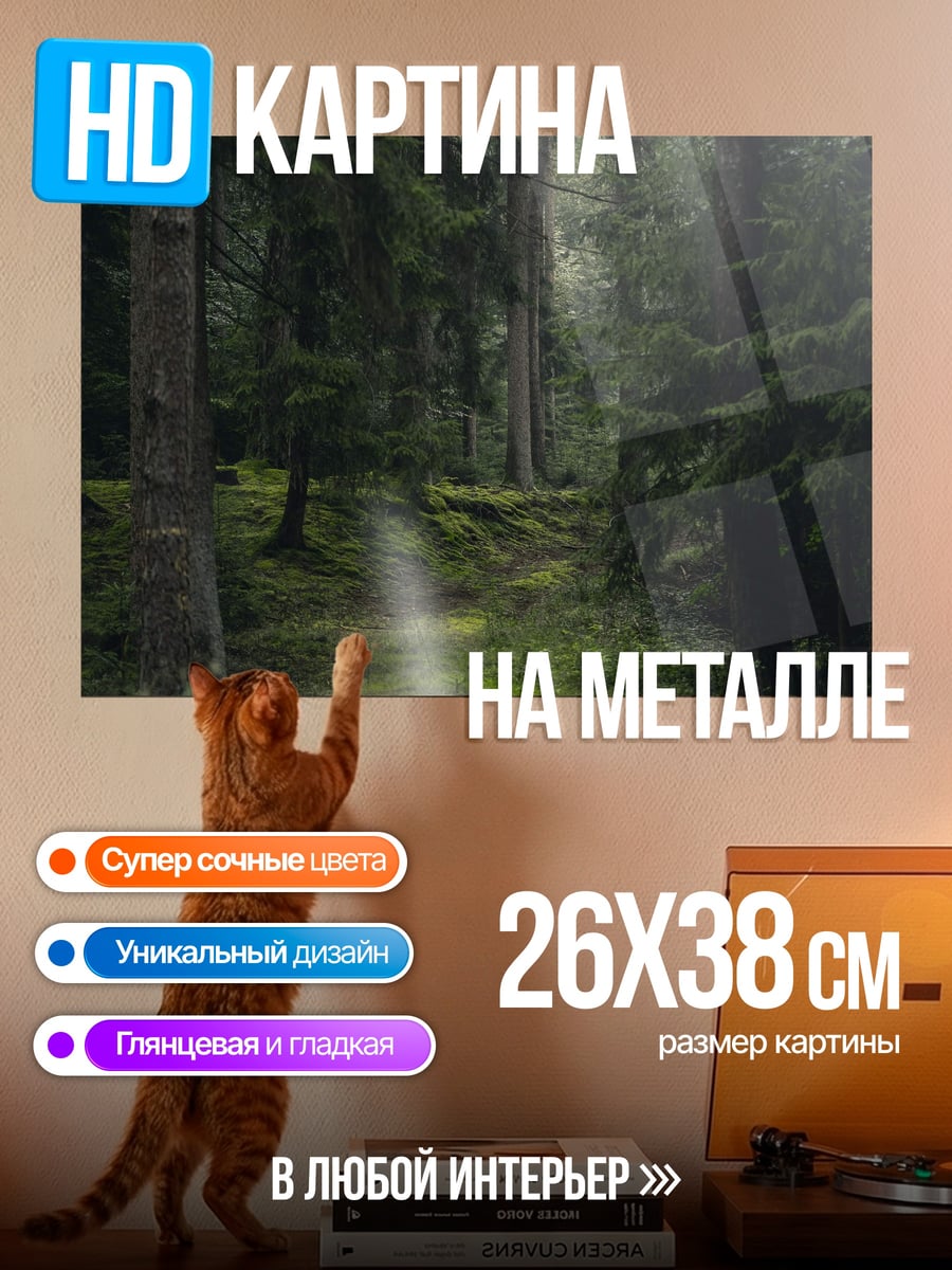 Картина на металле Темный лес с тропой