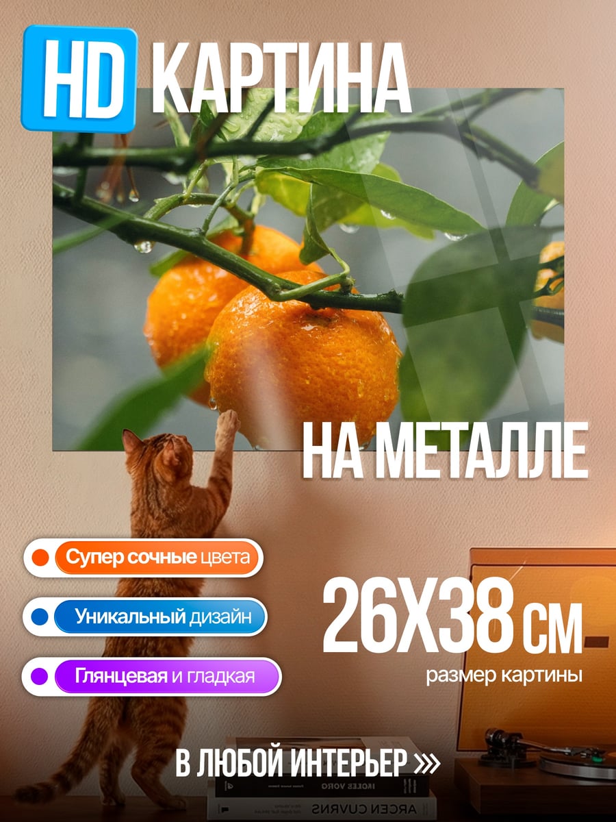 Картина на металле мандарины на ветке
