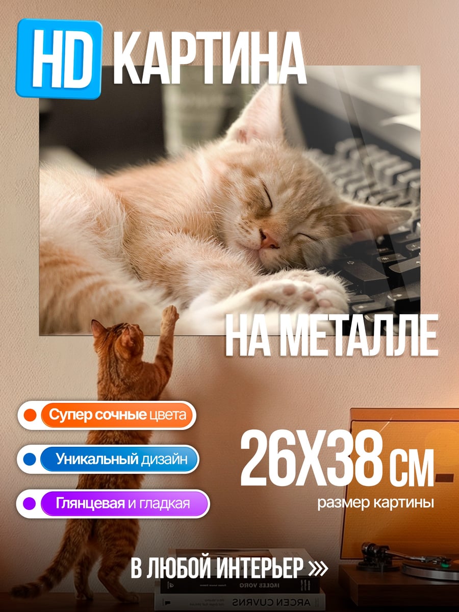 Картина на металле спящий кот на клавиатуре