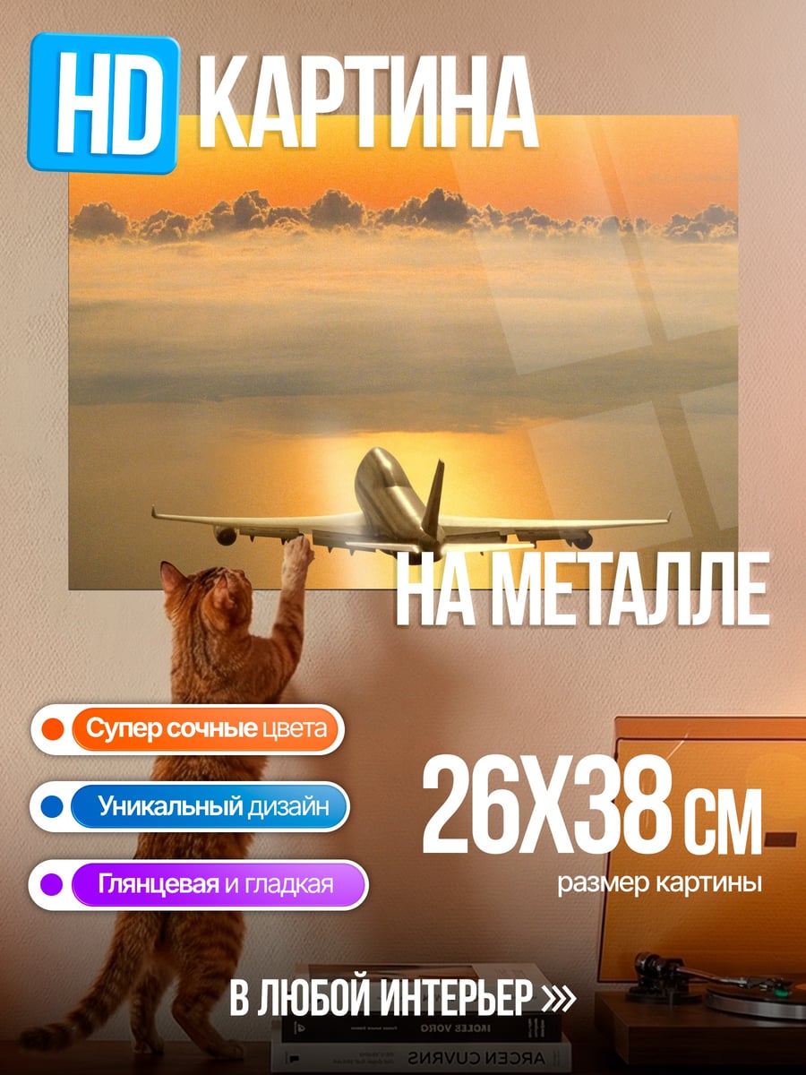 Картина на металле самолет в небе