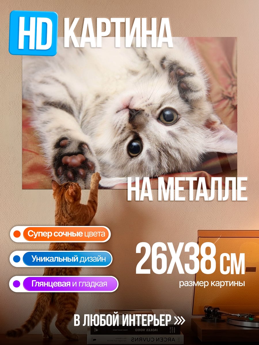 Картина на металле Котёнок играет