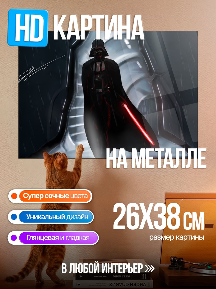 Картина на металле Дарт Вейдер с мечом