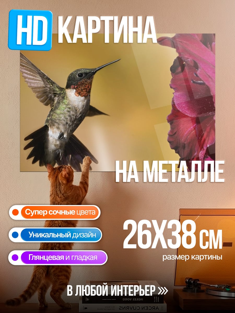 Картина на металле Колибри и цветок