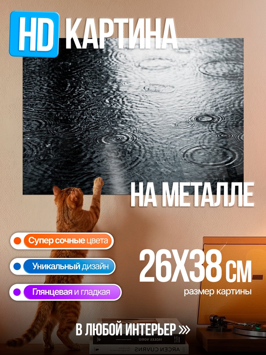 Картина на металле Дождь на асфальте