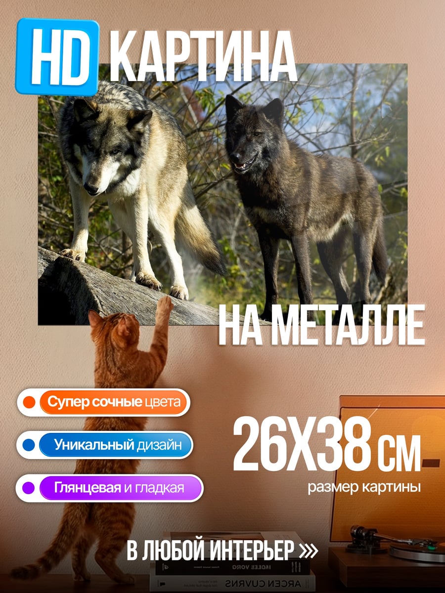 Картина на металле Два волка на камне