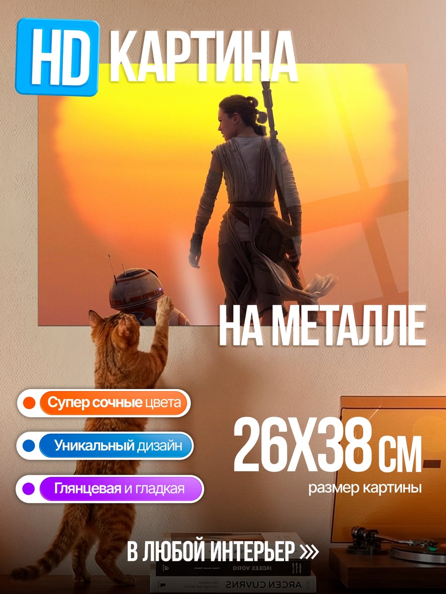 Картина на металле Рей и BB-8