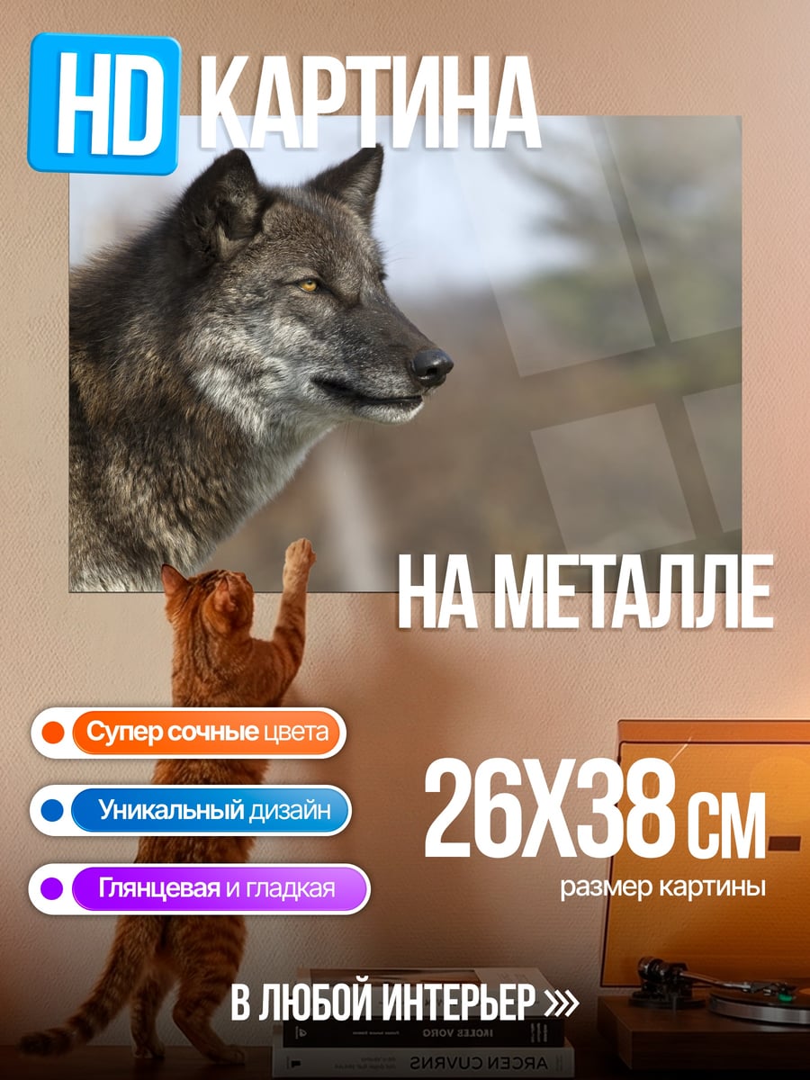 Картина на металле Дикий волк смотрит