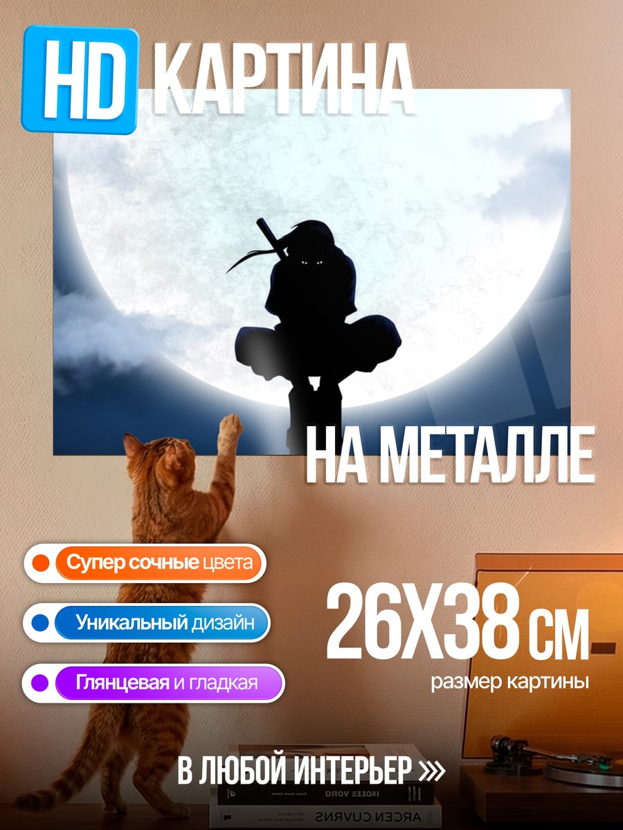 Картина на металле Силуэт ниндзя