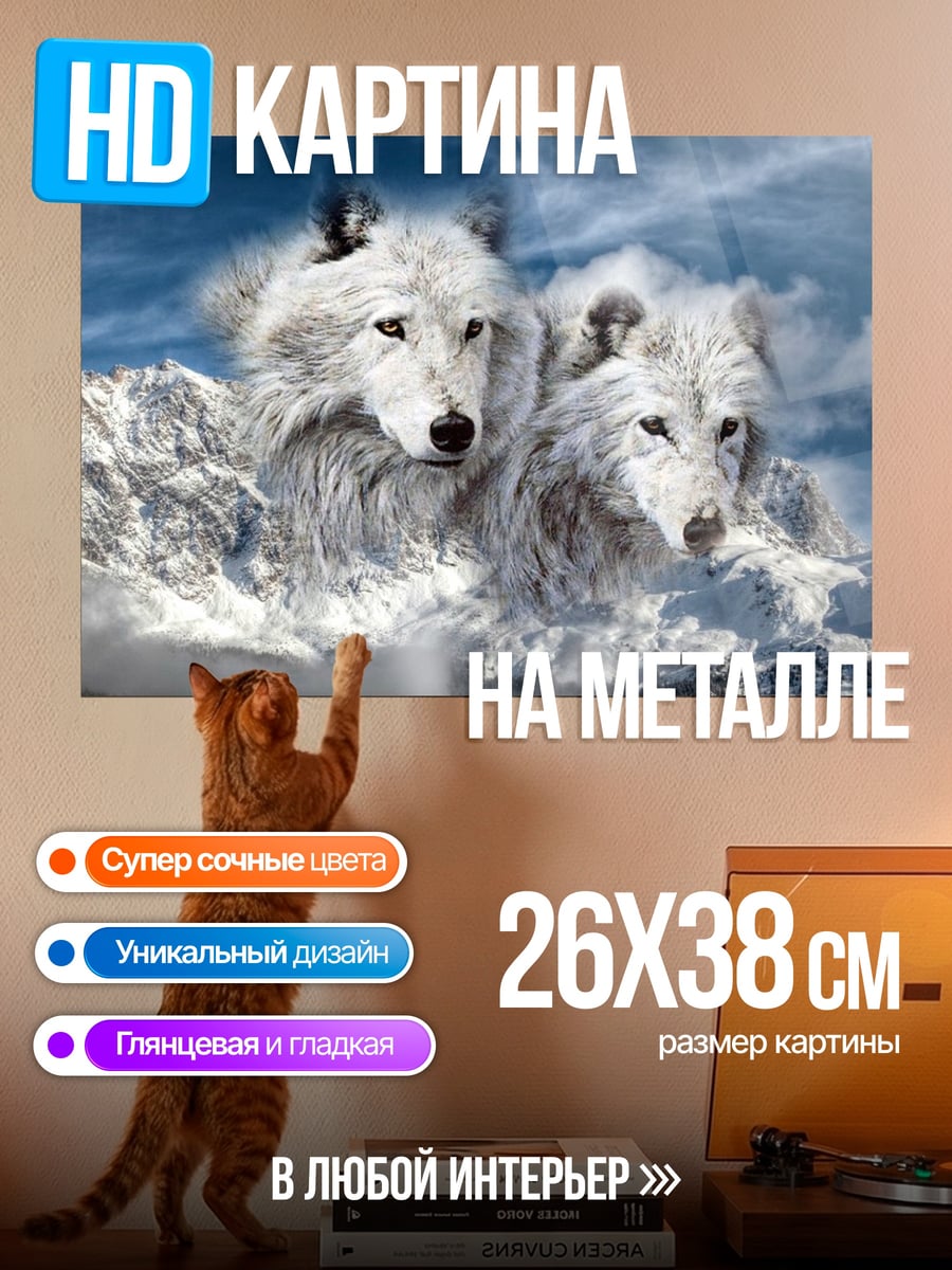 Картина на металле два белых волка