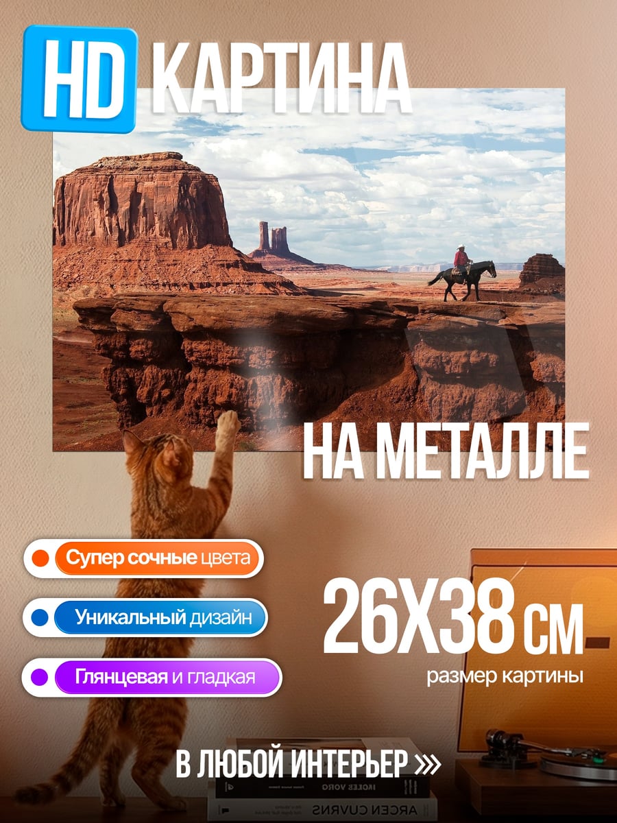 Картина на металле Ковбой в каньоне