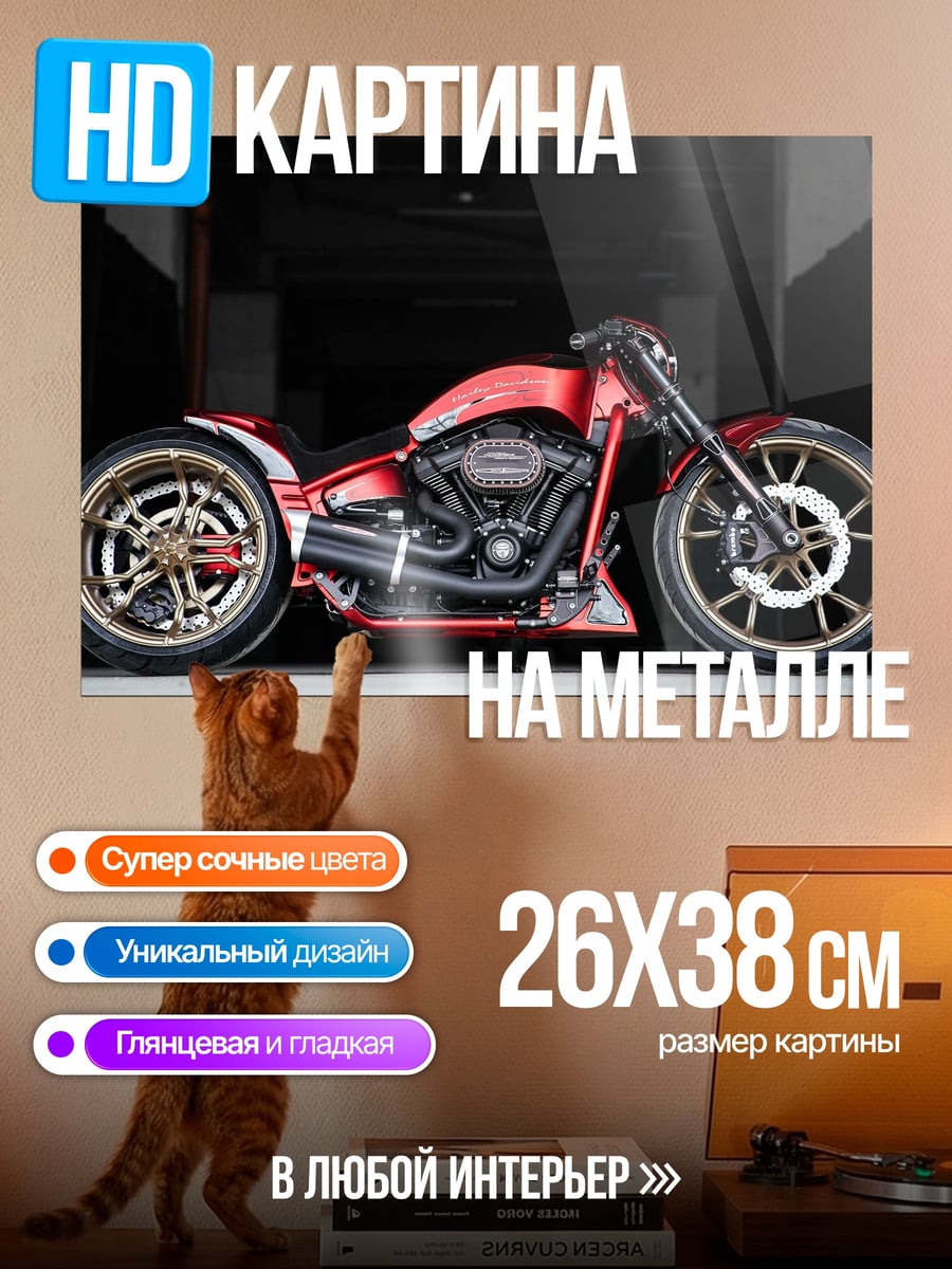 Картина на металле Красный мотоцикл