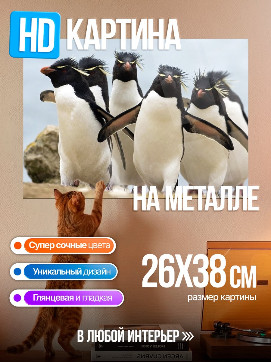 Картина на металле Пингвины на берегу