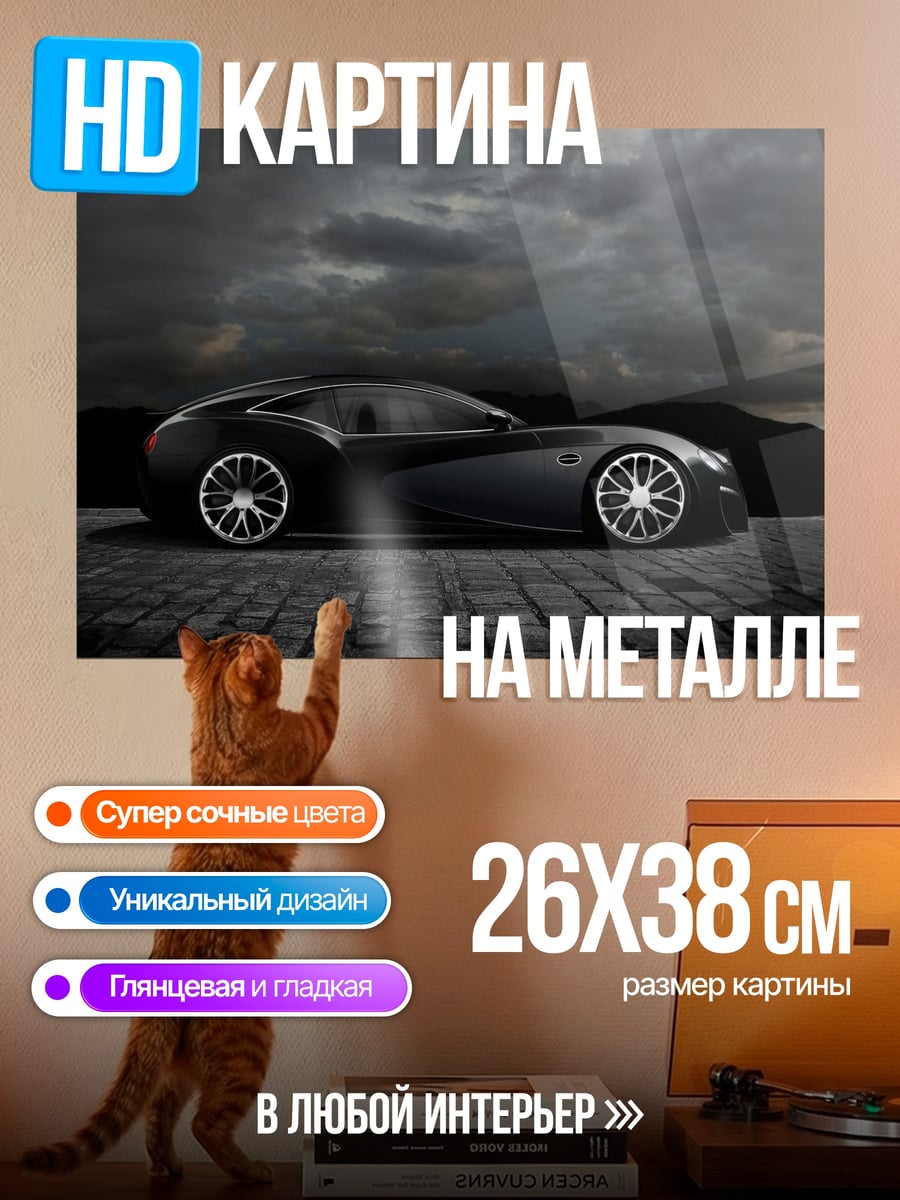 Картина на металле Спортивное купе