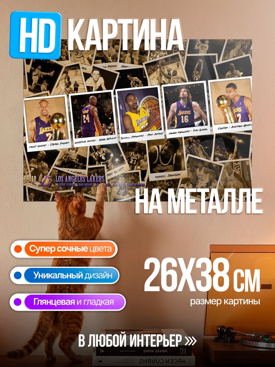 Картина на металле Баскетбольная команда