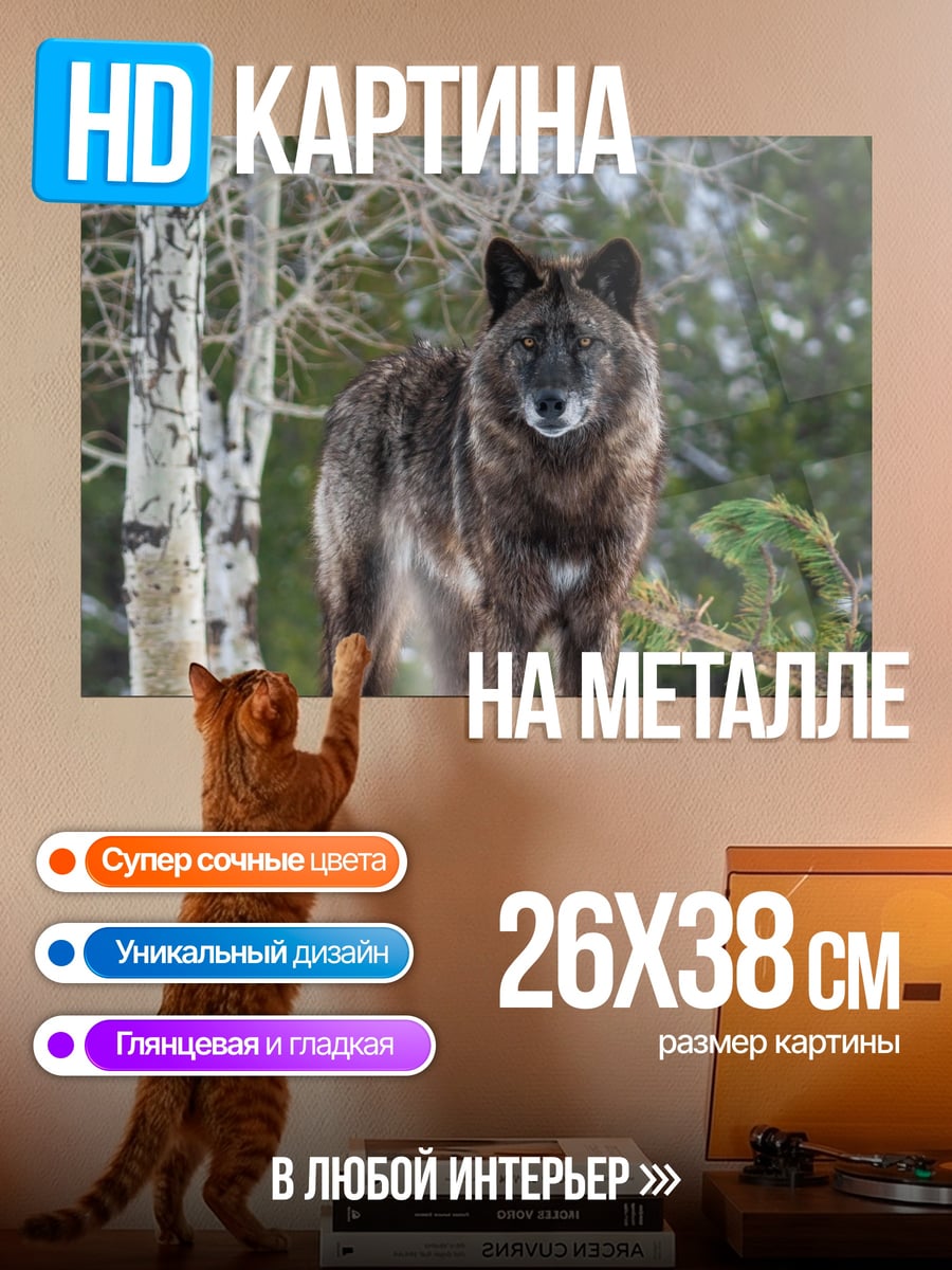 Картина на металле Зимний волк