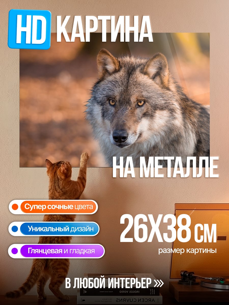 Картина на металле Волк смотрит