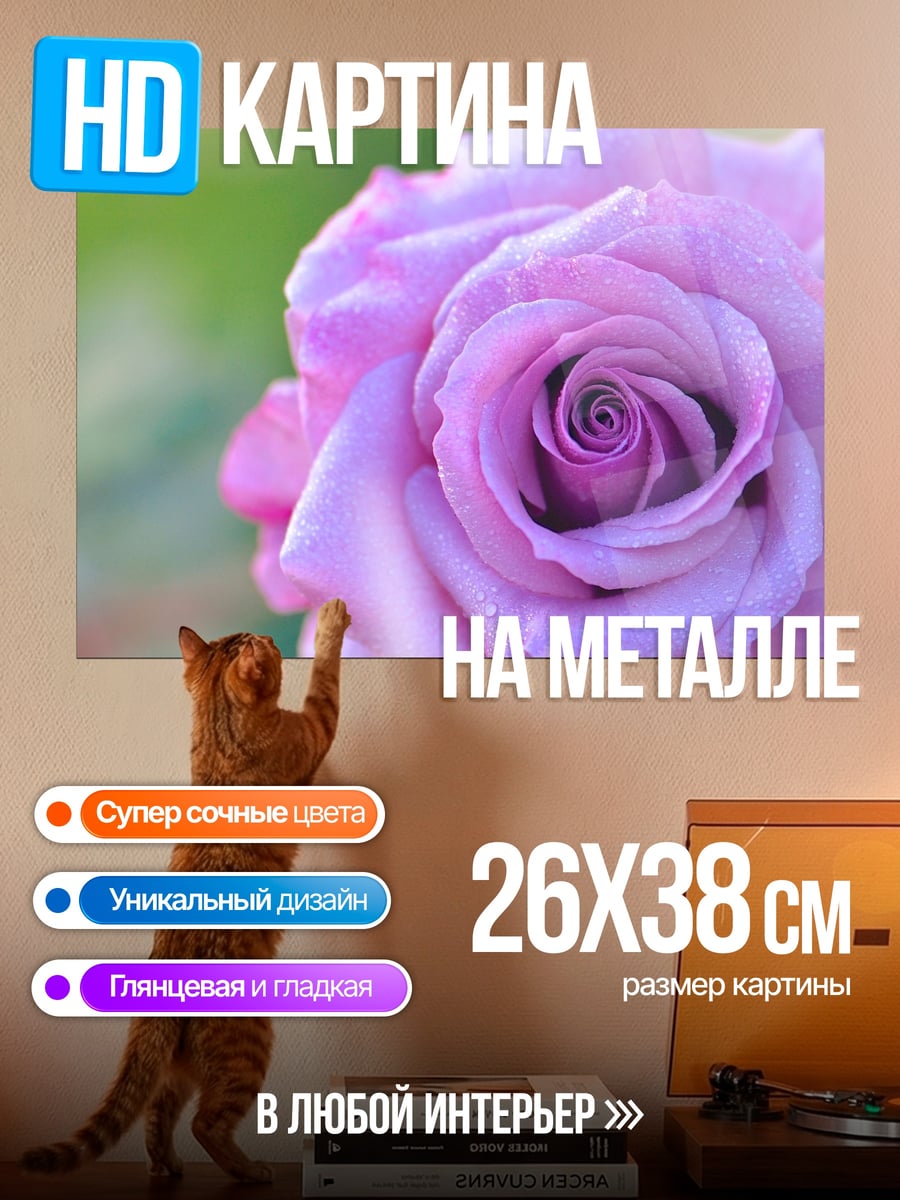 Картина на металле Розовая роза