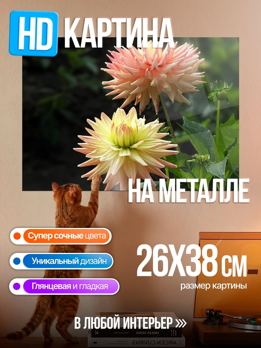Картина на металле Цветущие георгины