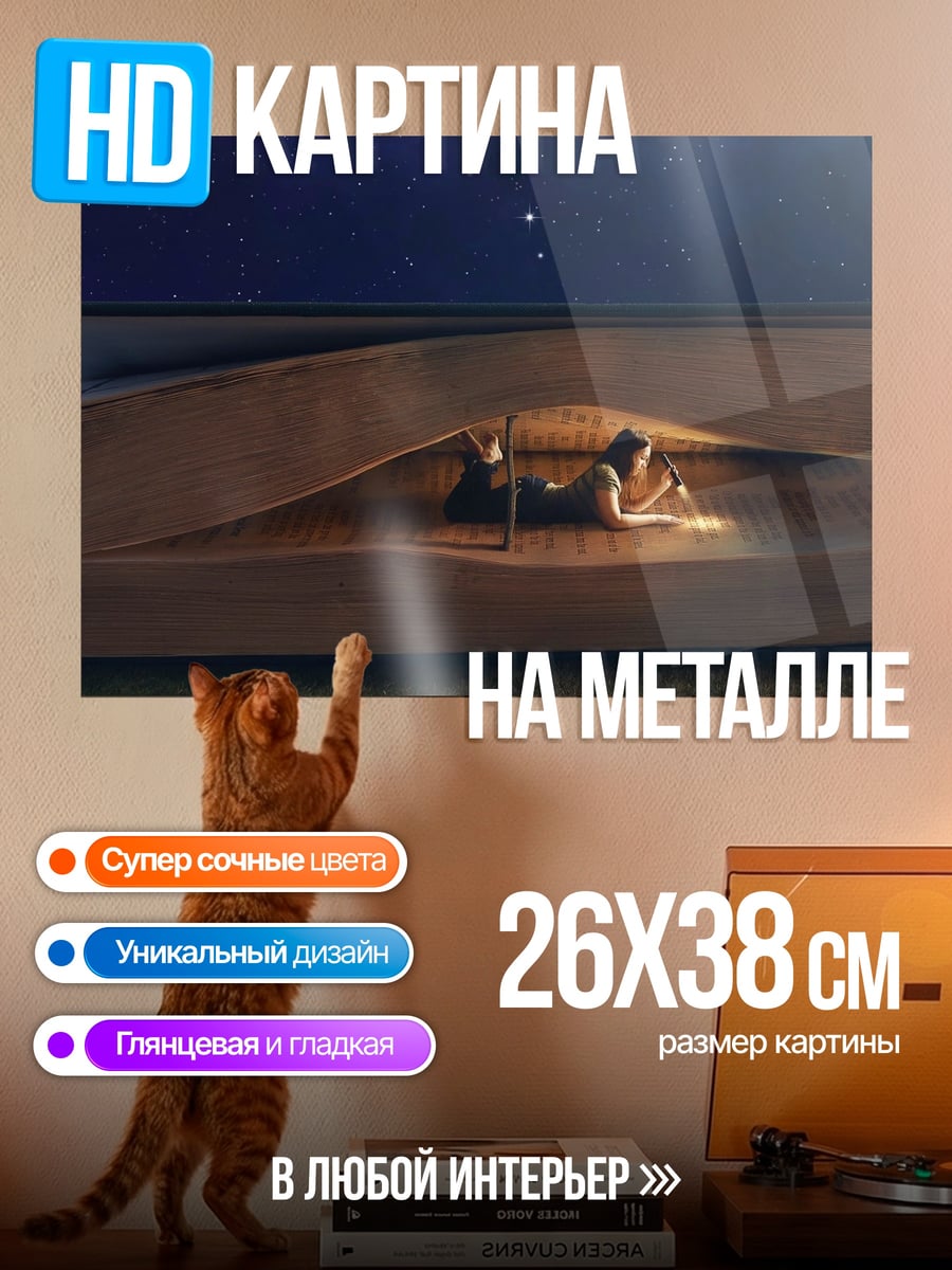 Картина на металле Ночное чтение в лодке