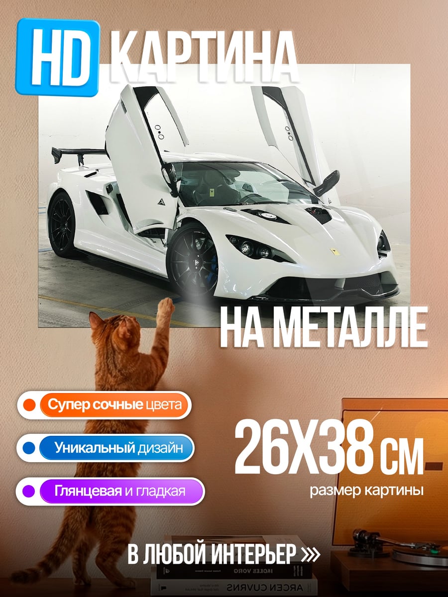 Картина на металле Белый спорткар с дверями
