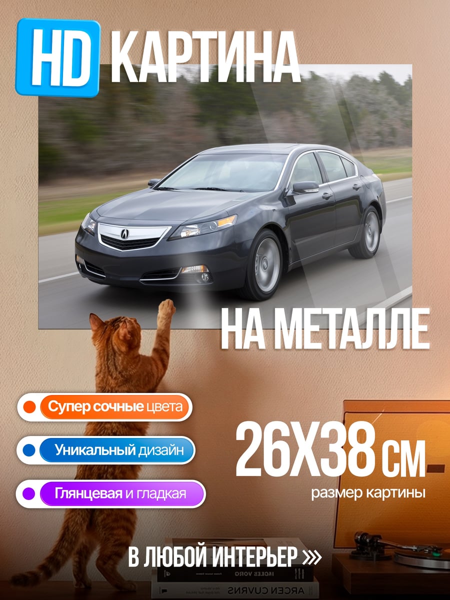 Картина на металле Acura TL 2012