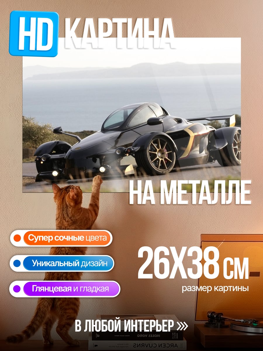 Картина на металле Ariel Atom V8