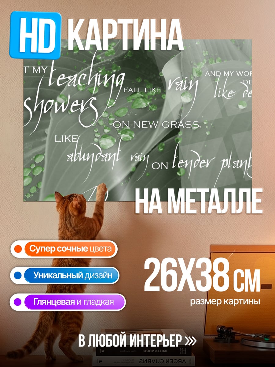 Картина на металле Учение как дождь