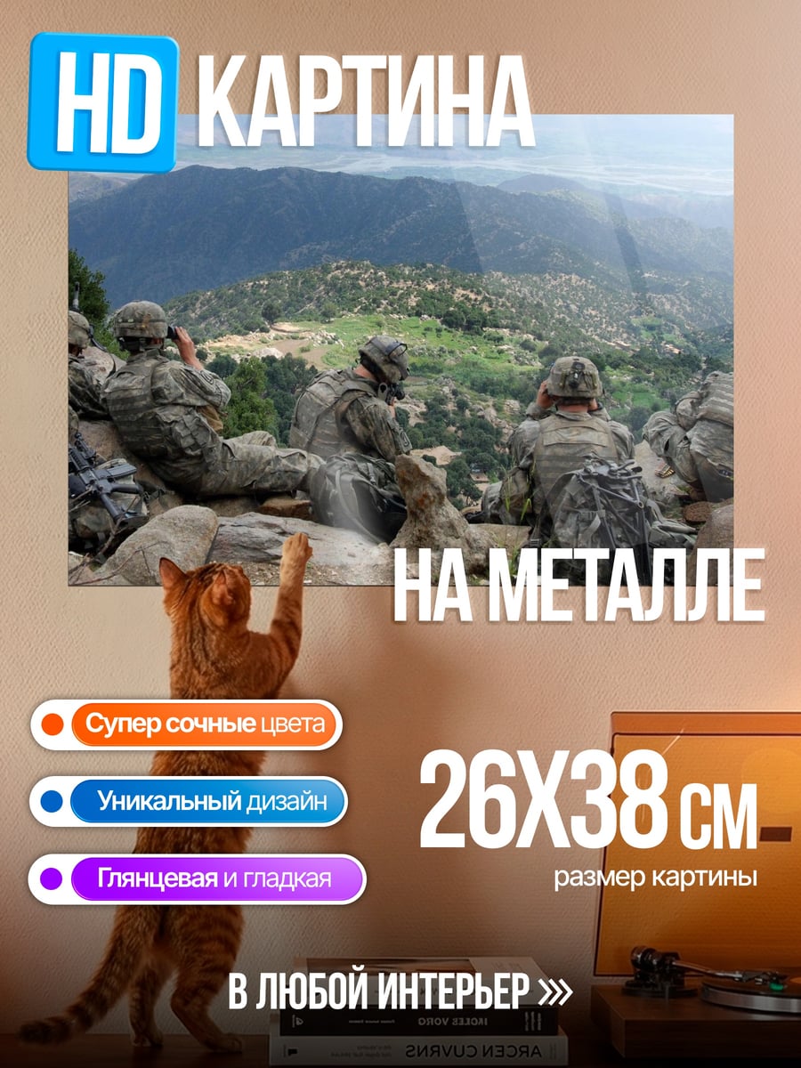 Картина на металле Солдаты на горе