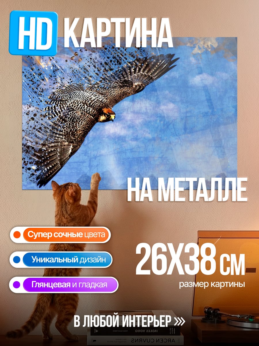 Картина на металле Парящий сокол в небе