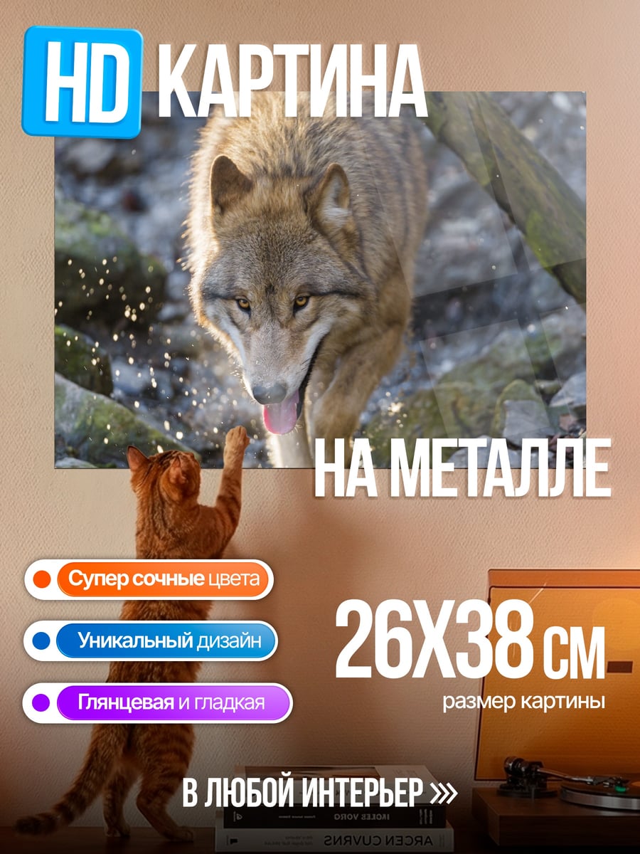 Картина на металле Идущий волк в лесу