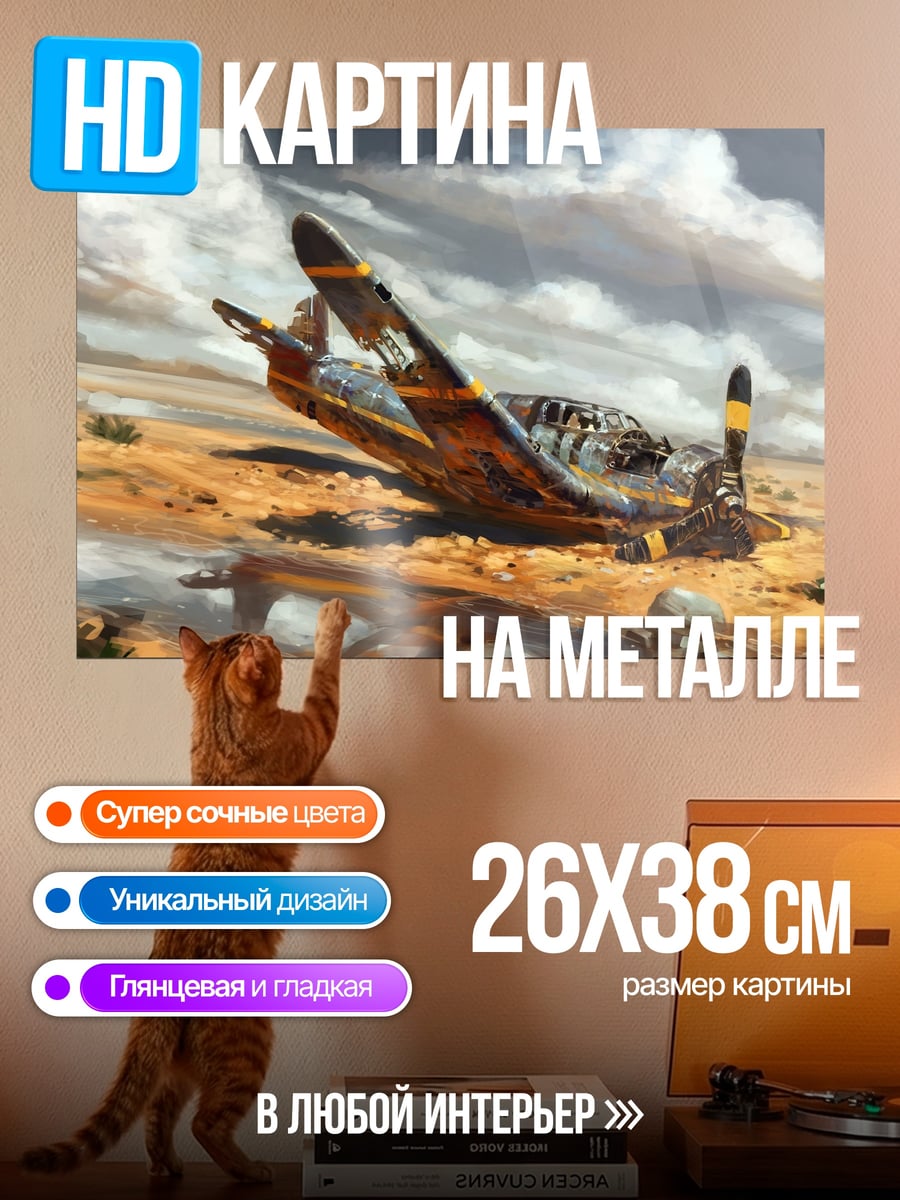 Картина на металле Разбитый самолет пустыня