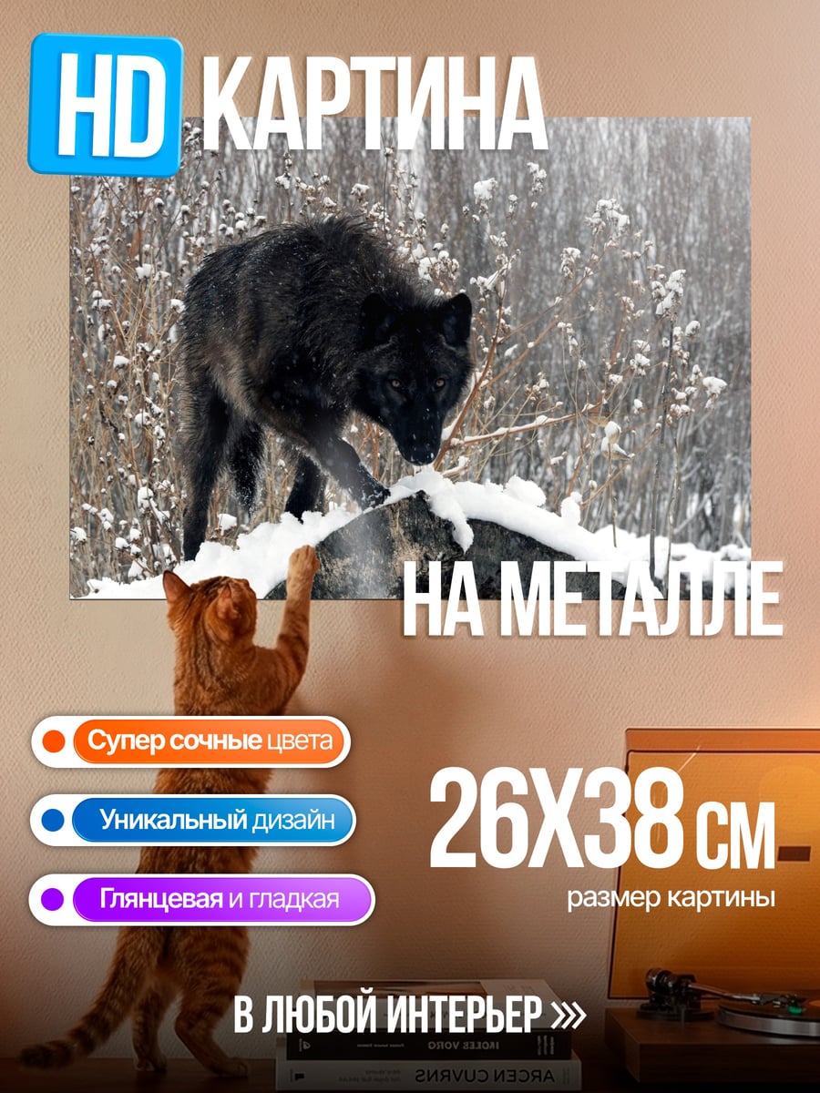 Картина на металле черный волк зимой