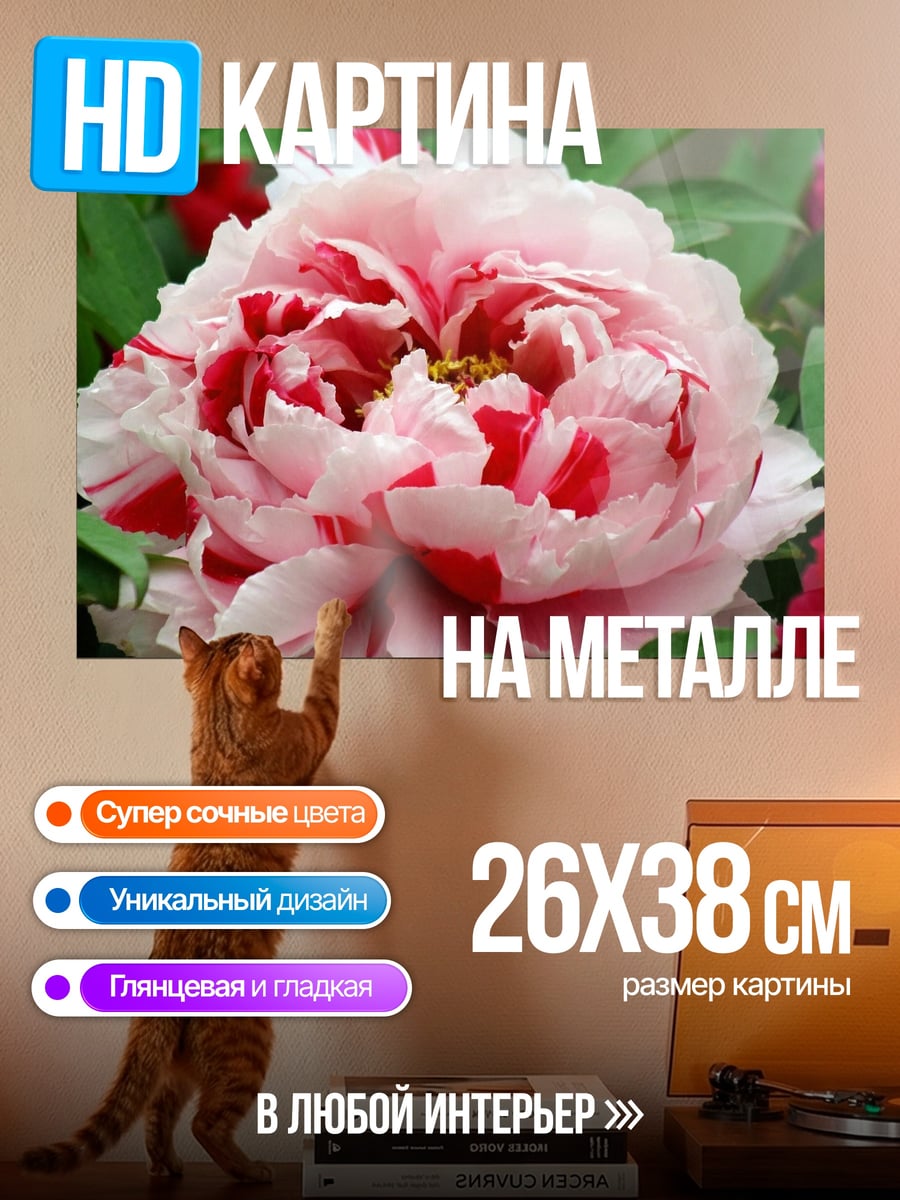 Картина на металле розовый пион