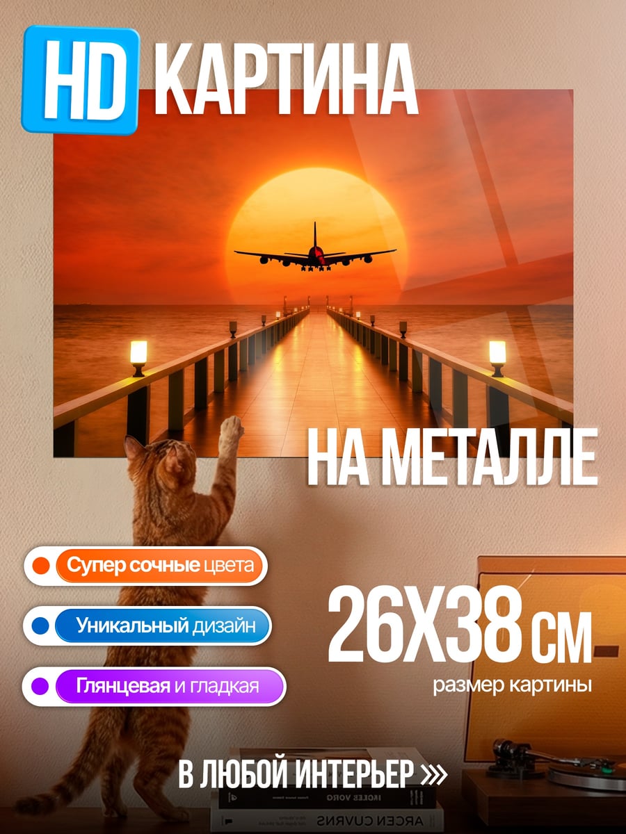Картина на металле самолет на фоне заката