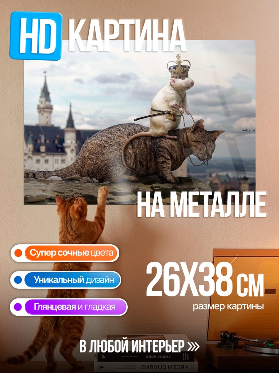 Картина на металле Кот король