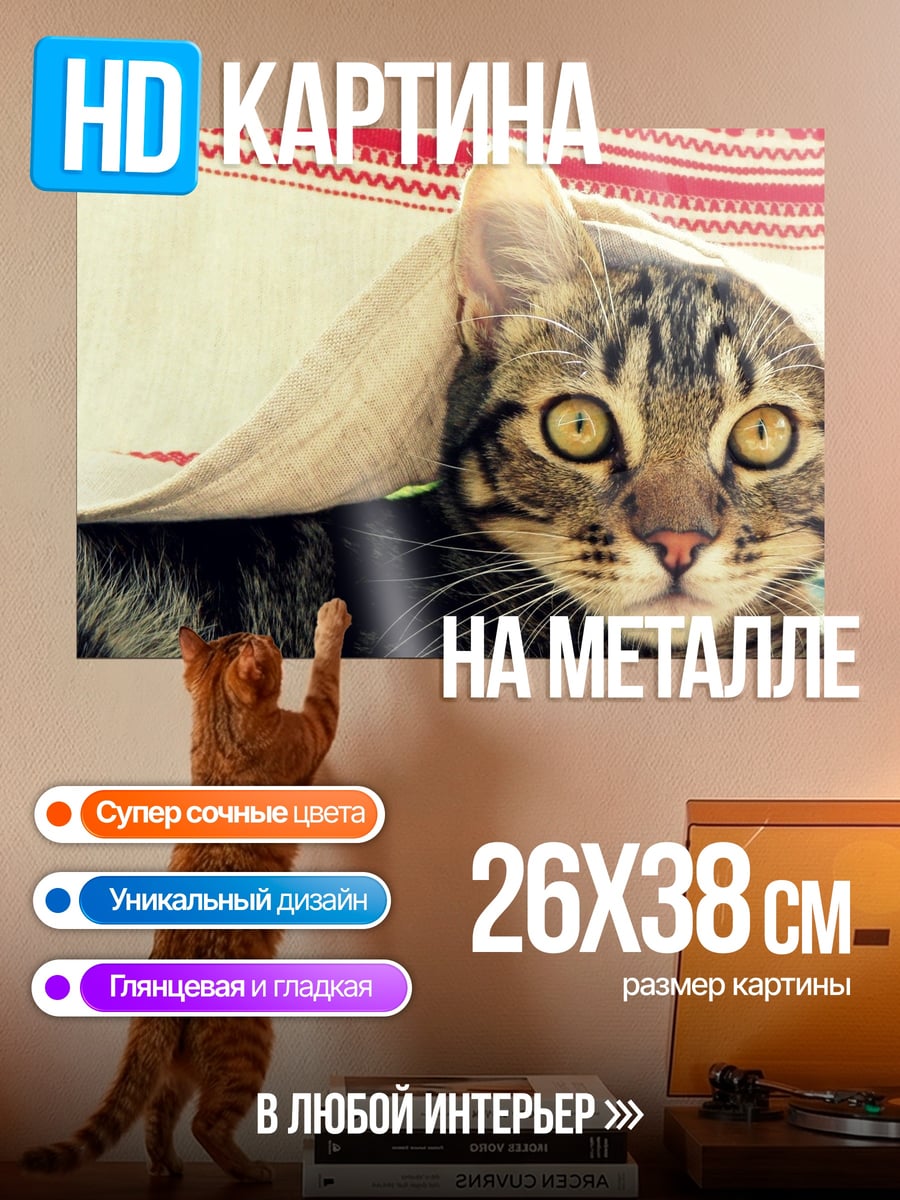 Картина на металле Кот под одеялом