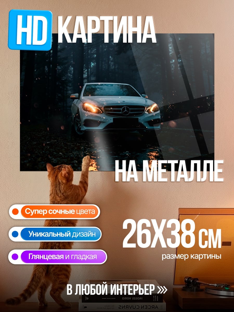 Картина на металле Автомобиль в лесу