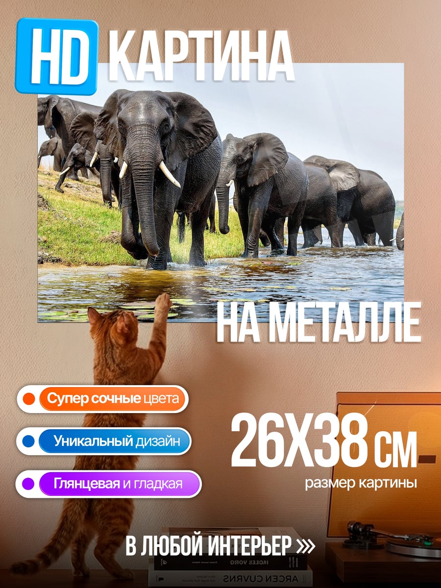Картина на металле Слоны у воды